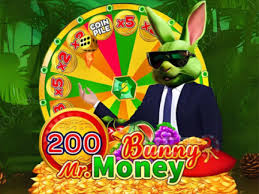 Mr Bunny Money